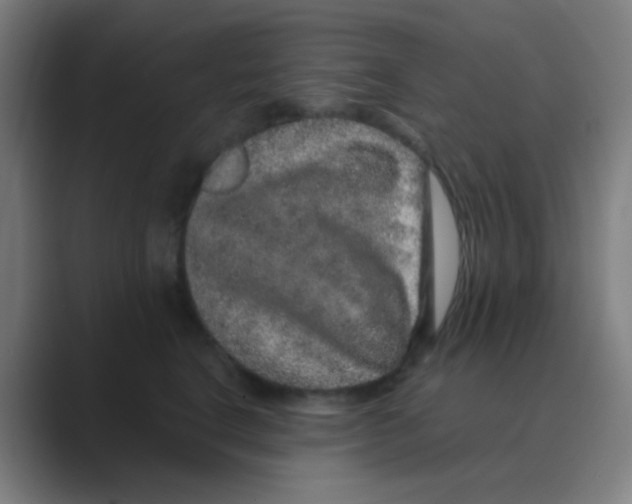 X0000088670664200706281923
