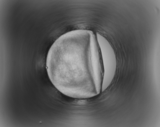 X0000088670665200706281923