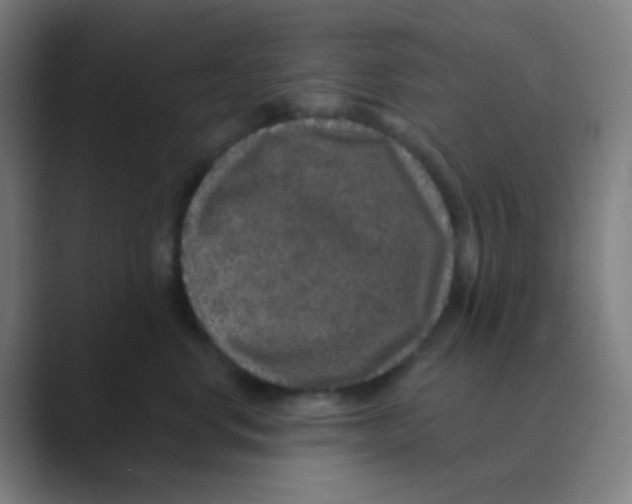 X0000088670668200706281923