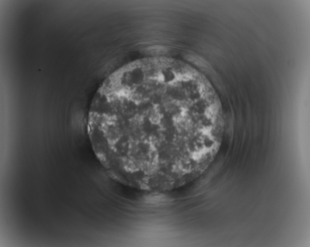 X0000088670669200706281923