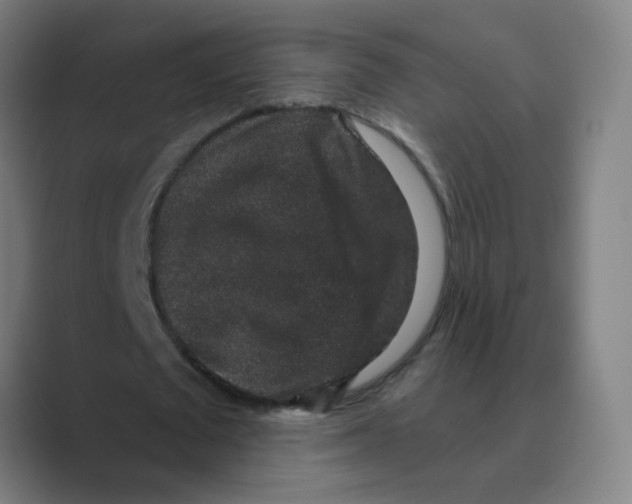 X0000088670673200706281922