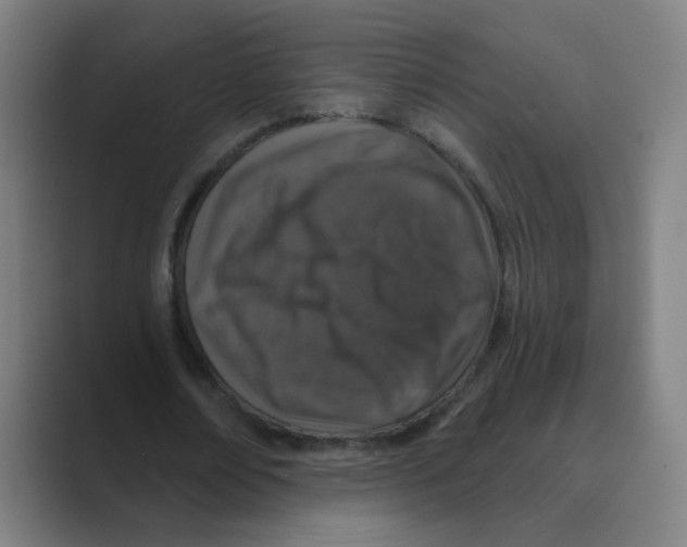 X0000088670674200706281922