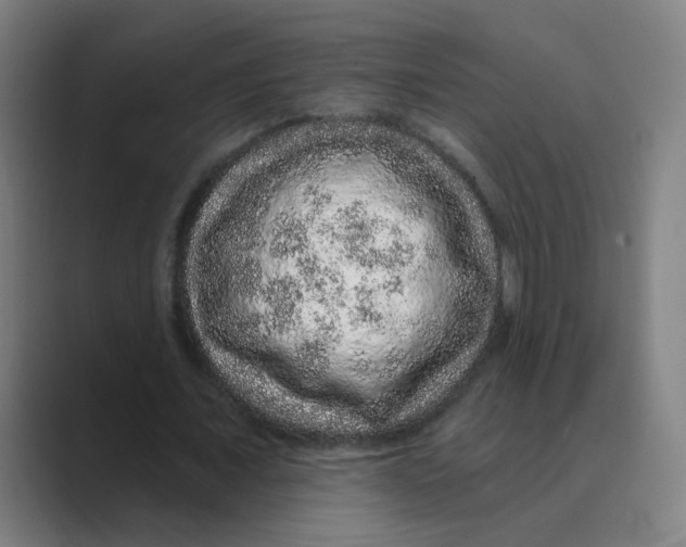 X0000088670675200706281922