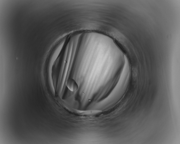 X0000088670676200706281922