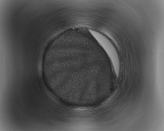 X0000088670677200706281922