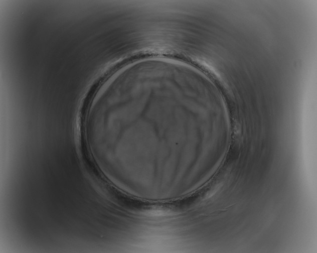X0000088670678200706281922
