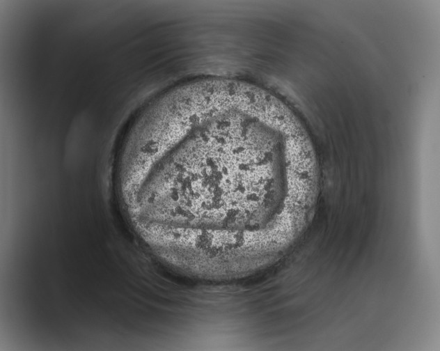 X0000088670679200706281922