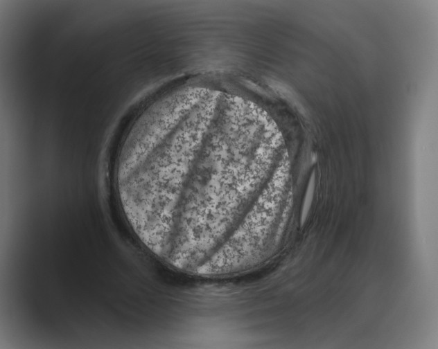 X0000088670680200706281922