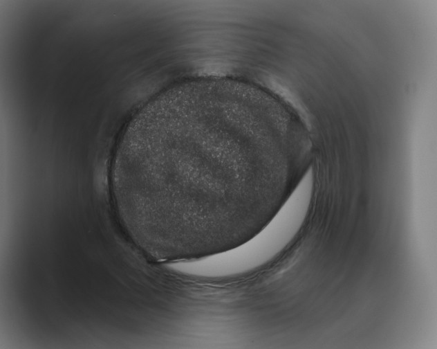 X0000088670681200706281922