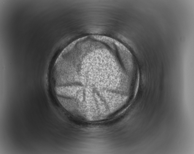 X0000088670682200706281922