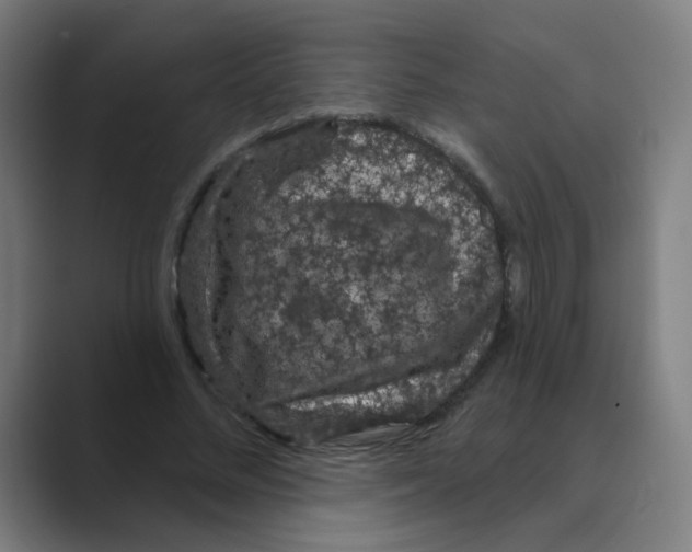 X0000088670684200706281922