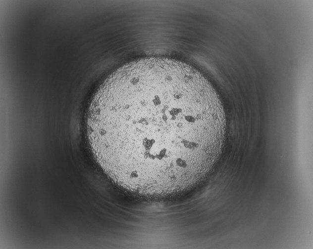 X0000088670687200706281922