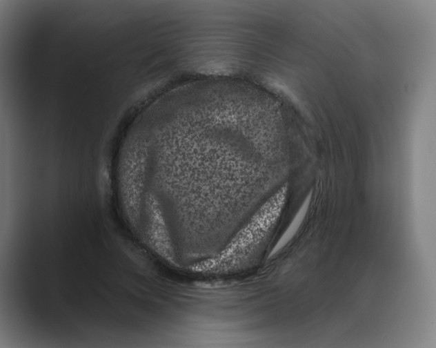 X0000088670688200706281922