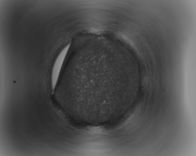 X0000088670689200706281922