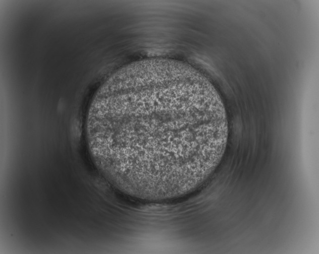 X0000088670691200706281922