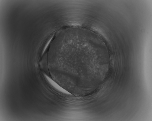 X0000088670692200706281922