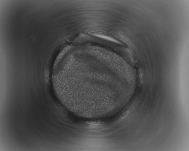 X0000088670693200706281922