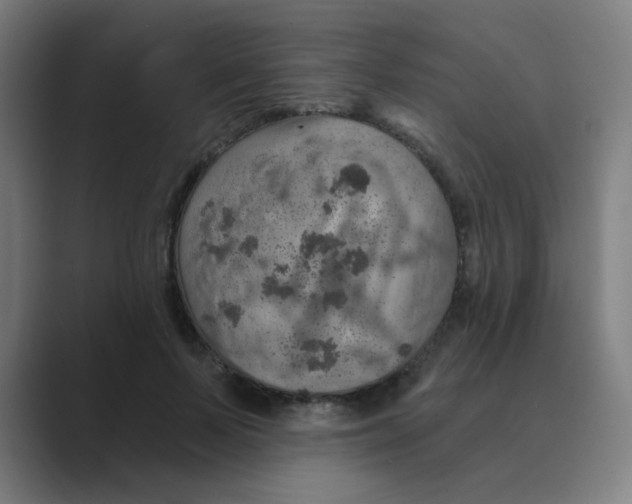X0000088670695200706281922