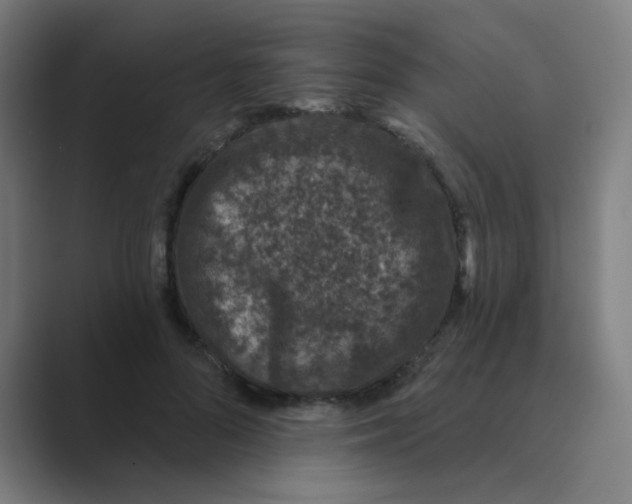 X0000088670696200706281922