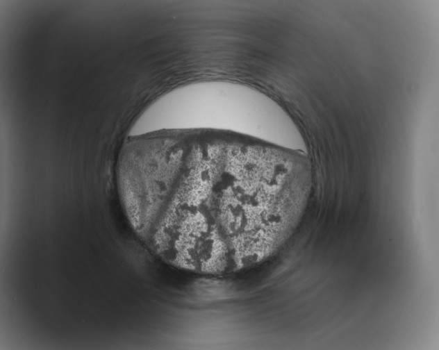 X0000088670699200706281922