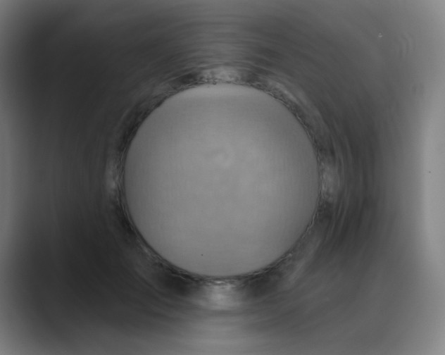 X0000088670701200706281922