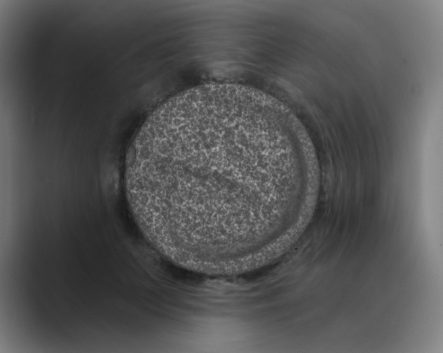 X0000088670703200706281922