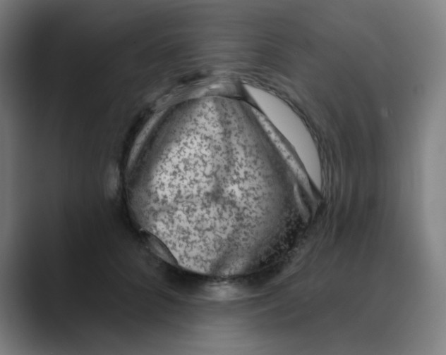 X0000088670704200706281922