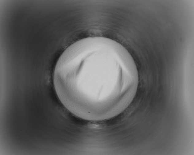 X0000088670706200706281922
