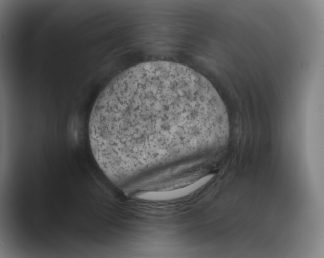 X0000088670708200706281922