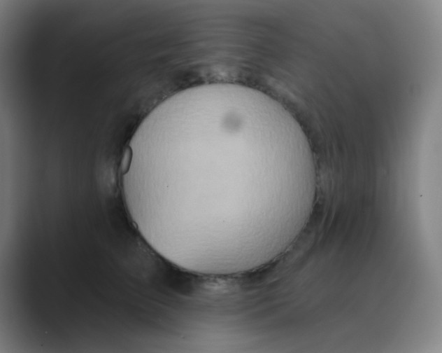 X0000088670709200706281922