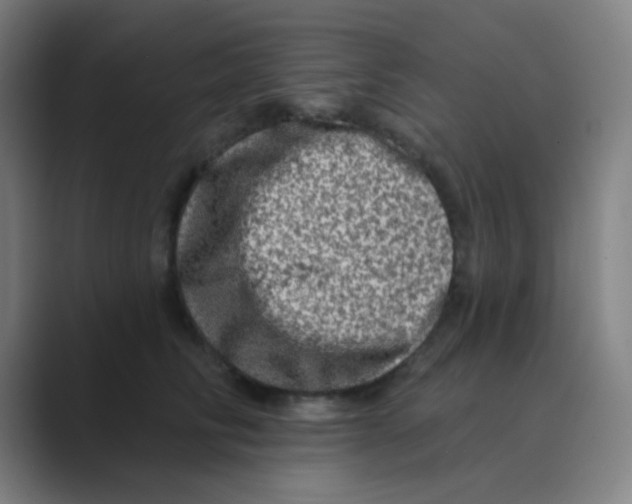 X0000088670710200706281922
