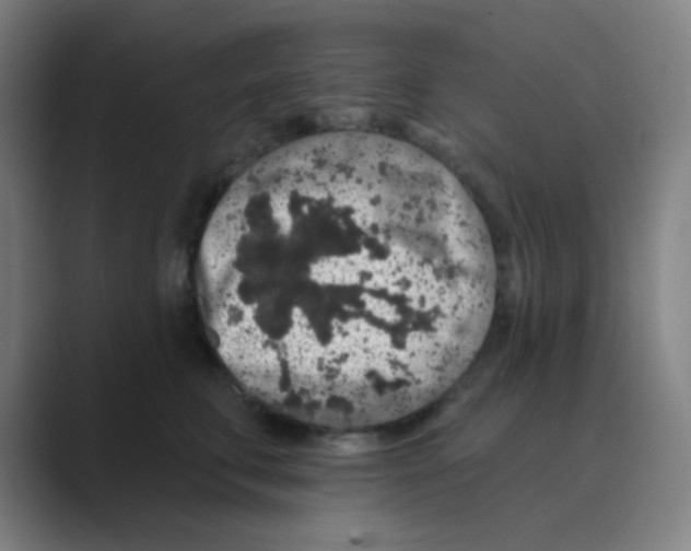 X0000088670711200706281921