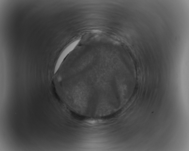 X0000088670712200706281921