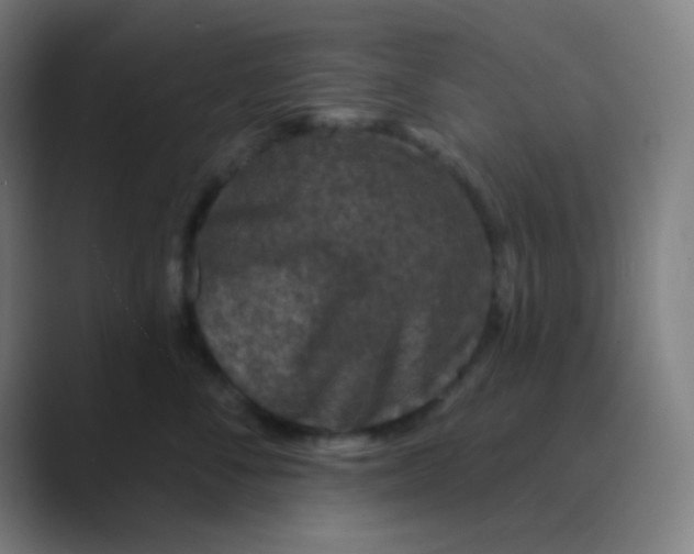 X0000088670716200706281921