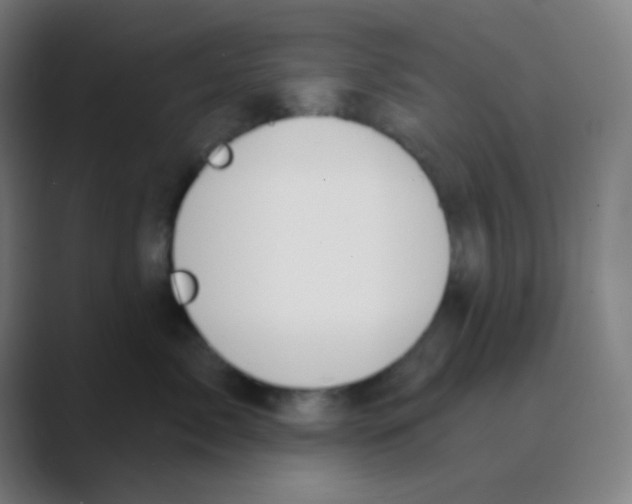 X0000088670717200706281921