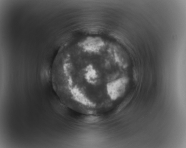 X0000088670718200706281921