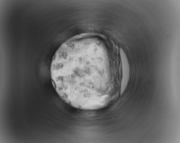 X0000088670719200706281921