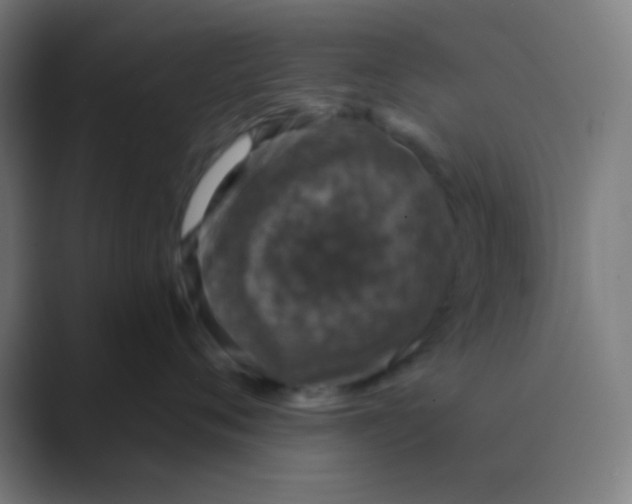 X0000088670720200706281921