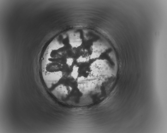 X0000088670721200706281921
