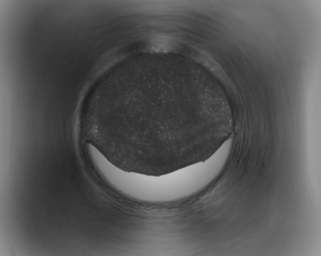 X0000088670722200706281921