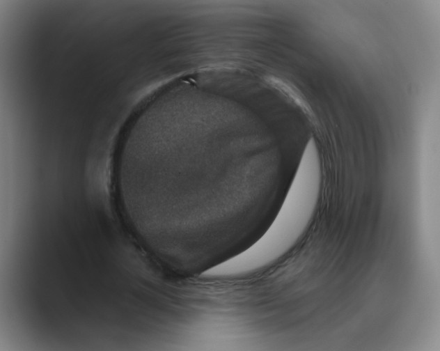 X0000088670724200706281921