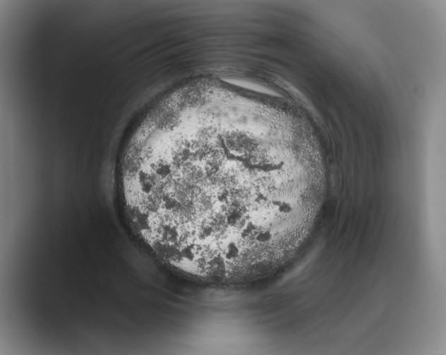 X0000088670725200706281921