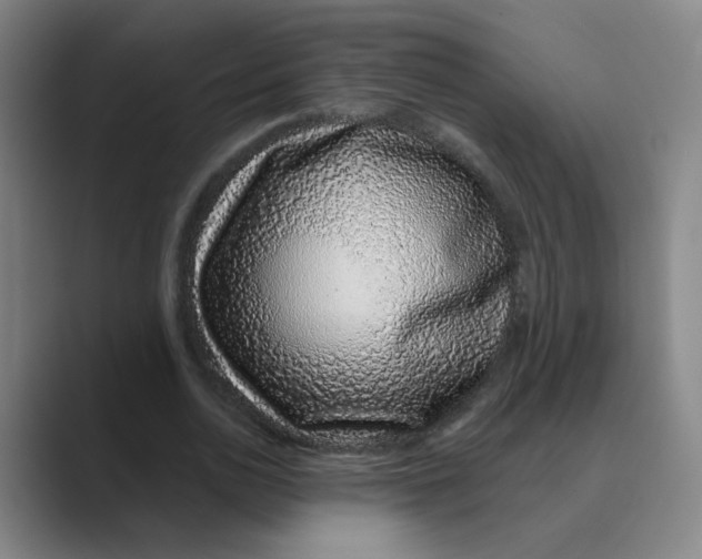 X0000088670726200706281921