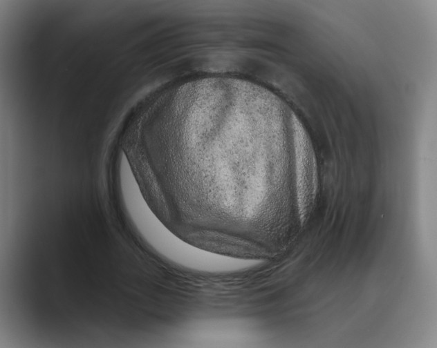 X0000088670727200706281921