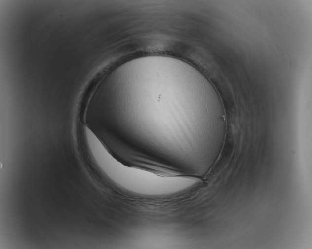 X0000088670728200706281921