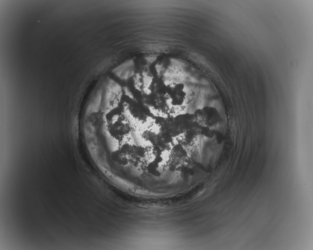 X0000088670729200706281921