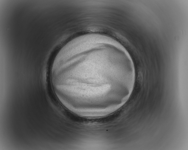X0000088670730200706281921