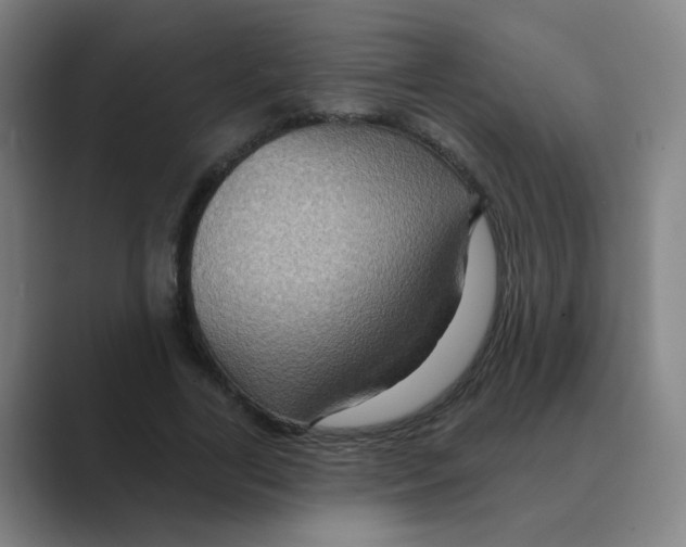 X0000088670731200706281921