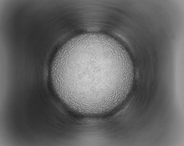 X0000088670733200706281921