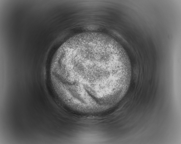 X0000088670734200706281921